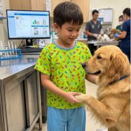 Disfraz Veterinario  - Día del Trabajador - Profesiones y Oficios  / Niño y Niña